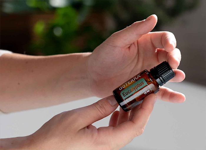 ユキチ doTERRA エッセンシャルオイル15mm Eucalyptus Oil | doTERRA Essential Oils